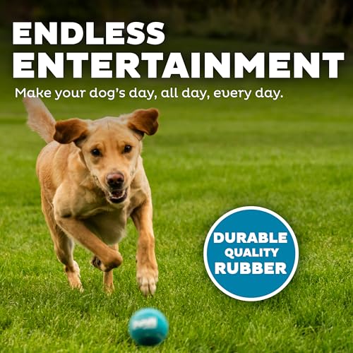 Squeaker Ballz Fetch Dog Toy, Medium - 4 Pack