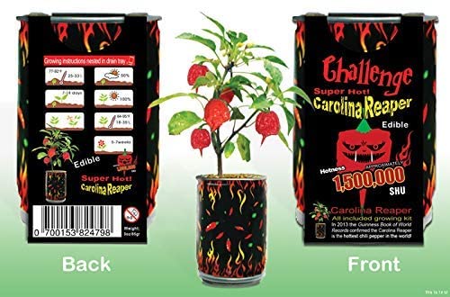 Super Hot Carolina Reaper Plant Kit