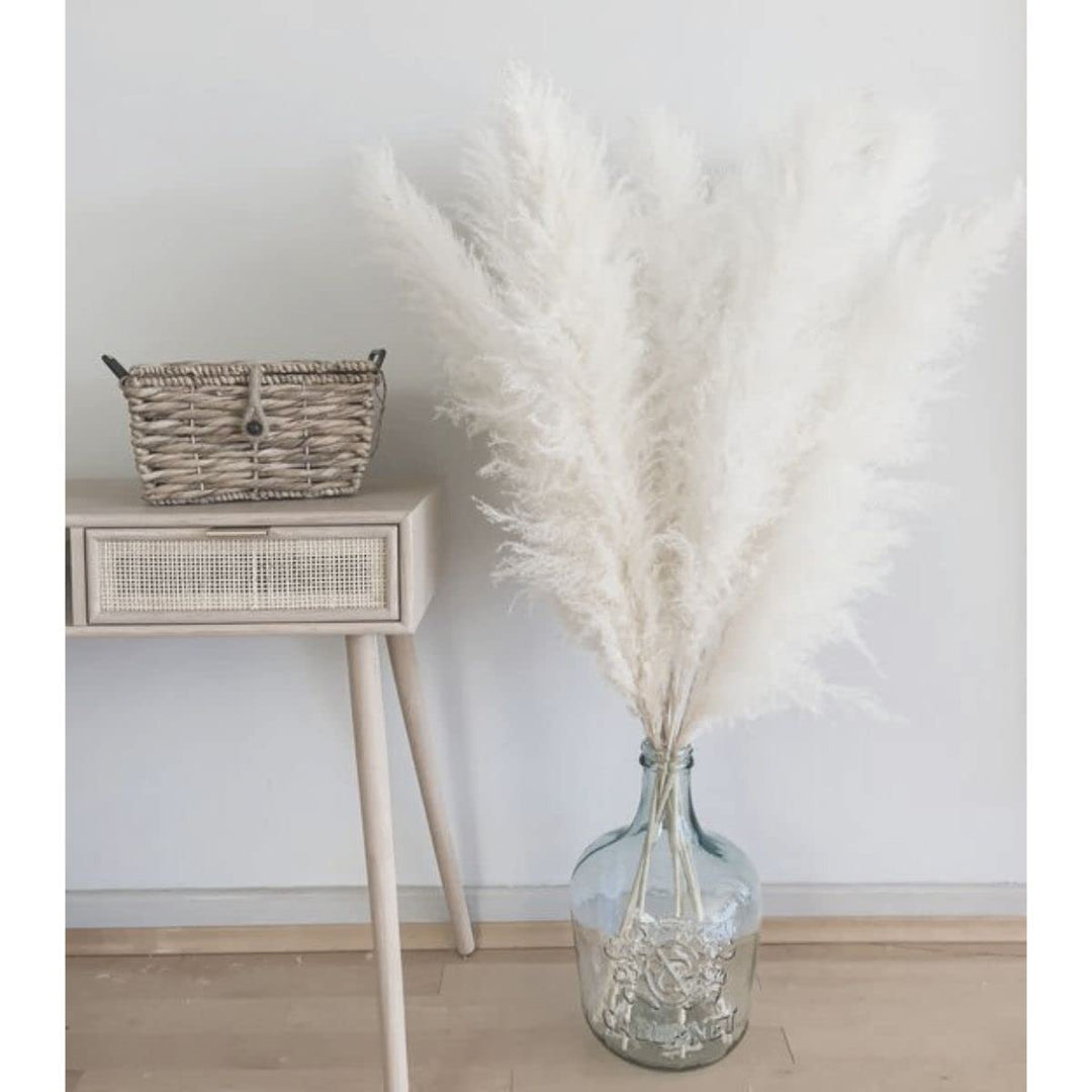 ® Pure White Pampas Grass, White Pampas Grass Decor Tall Fluffy (3 Stems). Tall Pampas Grass 48 inch (120 cm) (4Ft), Giant Pampas Grass, Boho Decor.