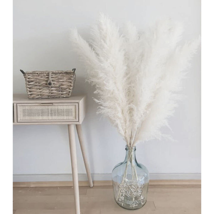 ® Pure White Pampas Grass, White Pampas Grass Decor Tall Fluffy (3 Stems). Tall Pampas Grass 48 inch (120 cm) (4Ft), Giant Pampas Grass, Boho Decor.