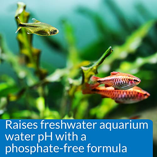 API pH UP Freshwater Aquarium Water pH Raising Solution for fish,4-Ounce Bottle, Brown
