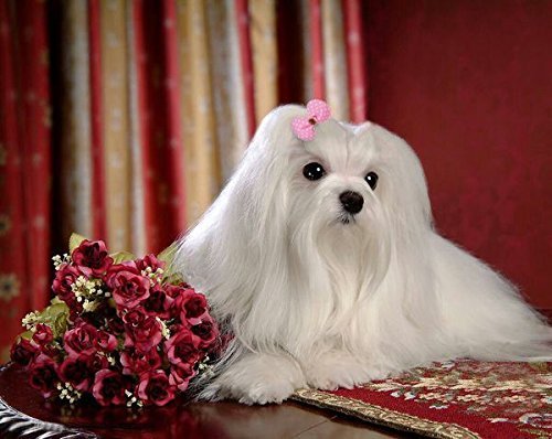 Baby Girls Bow Elastic Ties,Ponytail Holders,Hair Bands,Hair Elastics,Value Set (50 small bow for baby girl or pets)