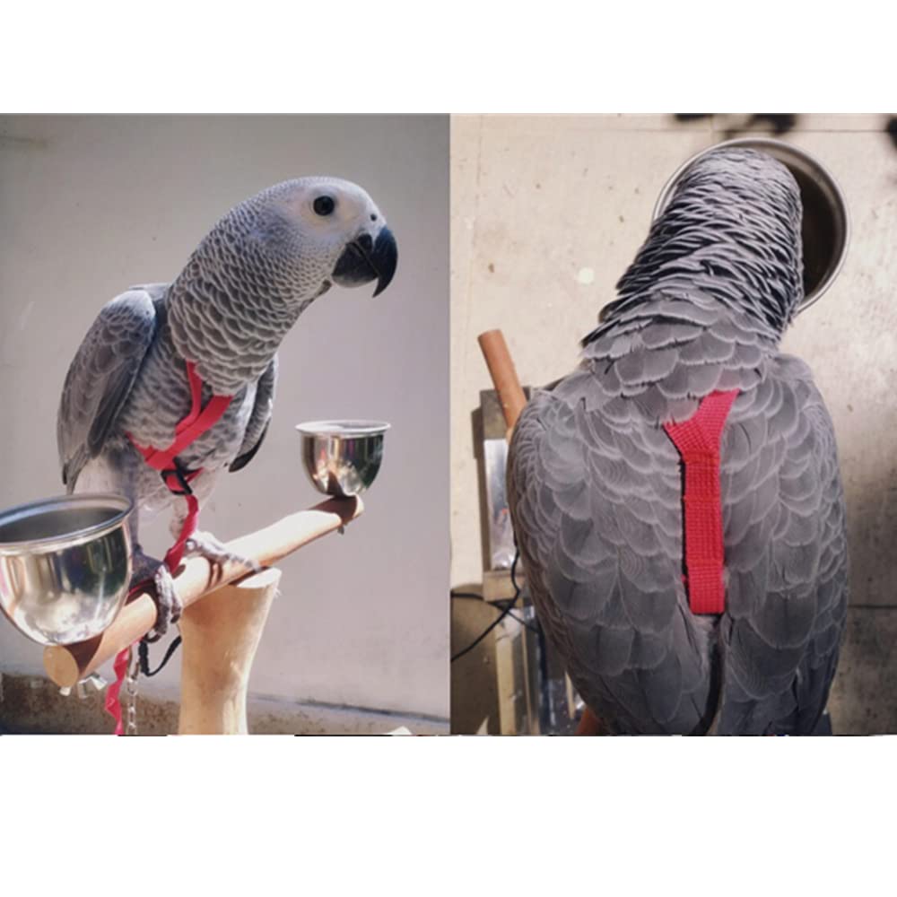Anelekor Adjustable Birds Harness and Leash Parrot Harness Leash Training Supplies Pet Anti-bite Outdoor Flying Rope for Conures Budgerigar Lovebird Cockatiel Mynah (M, Red)