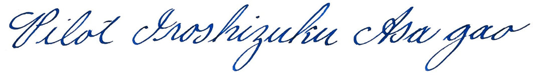 PILOT Iroshizuku Bottled Fountain Pen Ink, Asa-Gao, Morning Glory (Dark Blue) 50ml Bottle (69203)