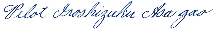 PILOT Iroshizuku Bottled Fountain Pen Ink, Asa-Gao, Morning Glory (Dark Blue) 50ml Bottle (69203)
