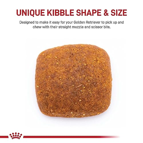 Golden Retriever Adult Dry Dog Food, 30 lb bag