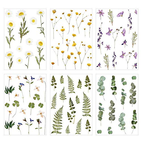 Daisy Iris Flowers Clover Eucalyptus 6 Sheets Transparent PVC Waterproof PET Decals Stickers Pack for Scrapbooking Diary Planner Album journals Phone Case Card Making Laptop Journaling