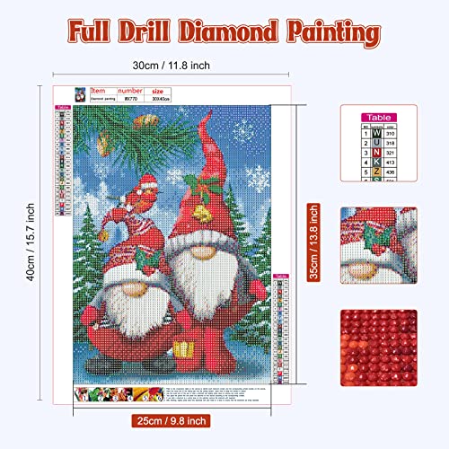 NAIMOER Christmas Diamond Art Gnomes Kits for Adults, F