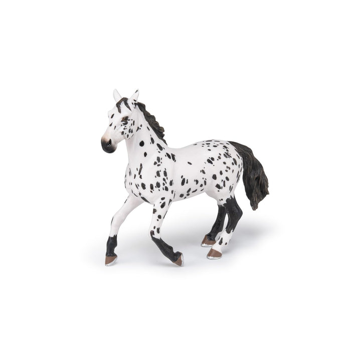 - Hand-Painted - Figurine - Horses,Foals and Ponies - Black Appaloosa Horse Figure-51539 - Collectible - for Children - Suitable for Boys and Girls - from 3 Years Old
