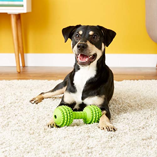 Pet Chompion Heavyweight Dog Chew Toy for Large Breeds, Assorted Colors