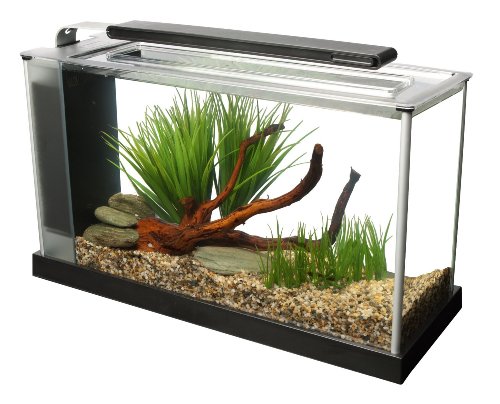 SPEC Aquarium Kit, Aquarium with LED Lighting and 3-Stage Filtration System, 5-Gallon