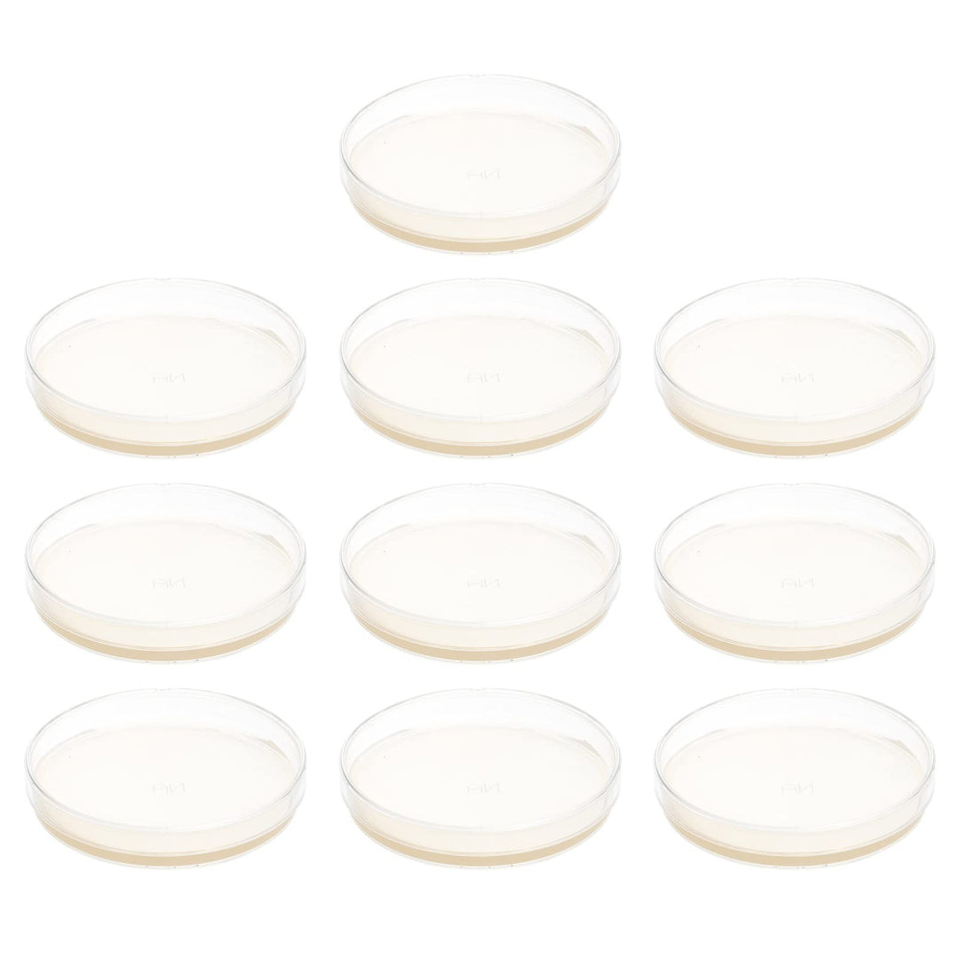 Agar Plates Petri Dishes- Great for Mushrooms, Molds,- 10 Pre- Poured Agar Petri Dishes- Also Great for Science Fair Projects