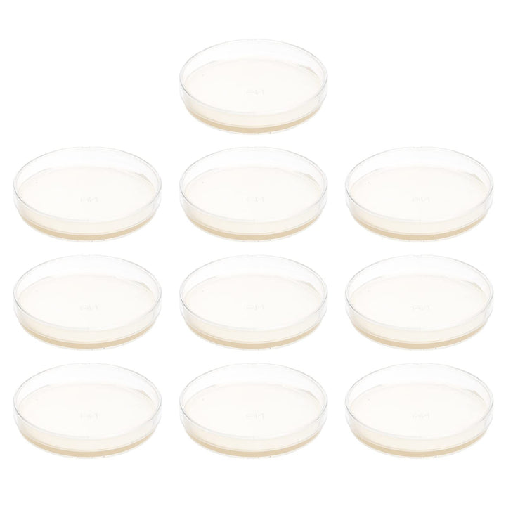 Agar Plates Petri Dishes- Great for Mushrooms, Molds,- 10 Pre- Poured Agar Petri Dishes- Also Great for Science Fair Projects