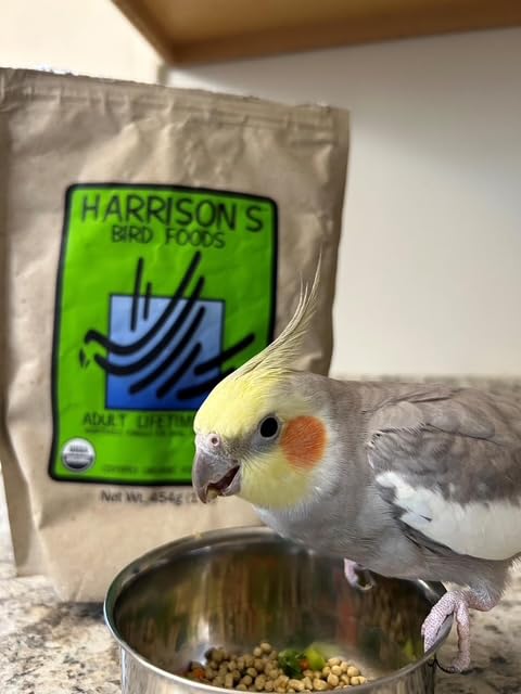 Harrison&#39;s Bird Foods Bird Food Adult Lifetime Fine Certified Organic Non-GMO Formula Bird Food 1lb