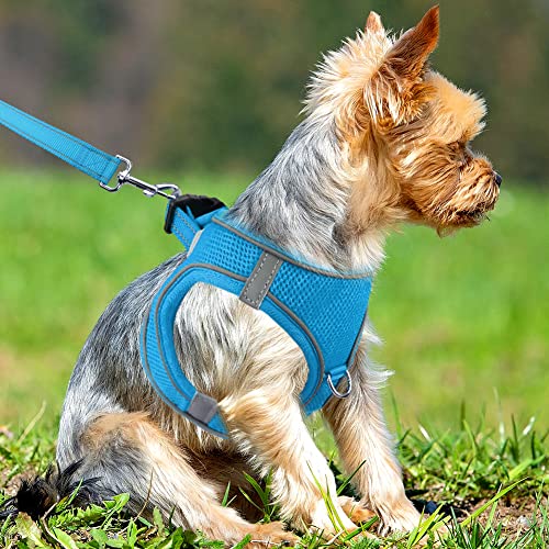 Small Dog Harness, Breathable Mesh Step-in Vest Harness, Reflective Soft Padded Harnesses Small Sized Dog for Walking, Sky Blue, S