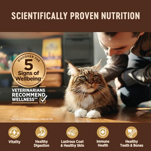 CORE+ Indoor Pate Adult Wet Cat Food, Natural, Protein-Rich, Grain Free, 3 Ounce, 12 Pack (Chicken &amp; Chicken Liver)