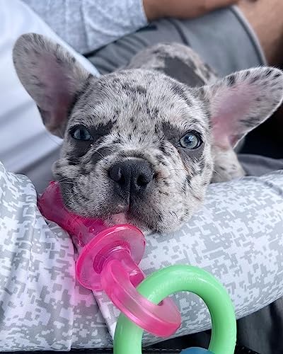 Puppy Pacifier Chew Toy, Teething Toys for Puppies, Bacon Flavor, Small - Up to 25 lbs, 1 Count
