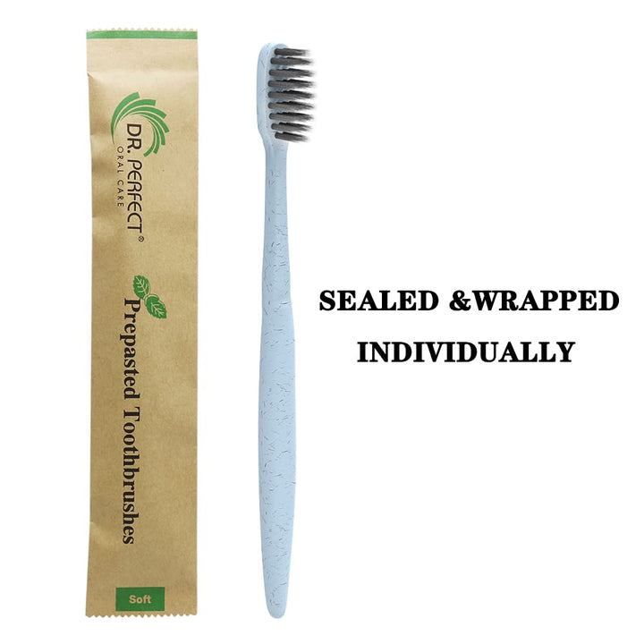 DR.PERFECT Prepasted Wheat Charcoal Toothbrush Individu