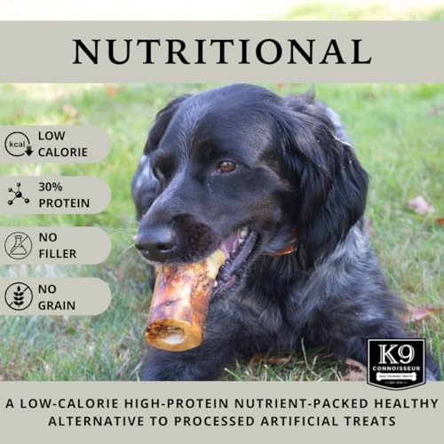 Beef Marrow Dog Bones Long Lasting for Aggressive Chewers - USA Made Single Ingredient Dynamo Bone for Small and Medium Dogs Upto 50 Pounds - 6 Pack