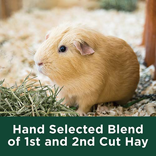 Timothy Hay Plus Carrots for Pet Guinea Pigs, Rabbits &amp; Other Small Animals, 24 oz