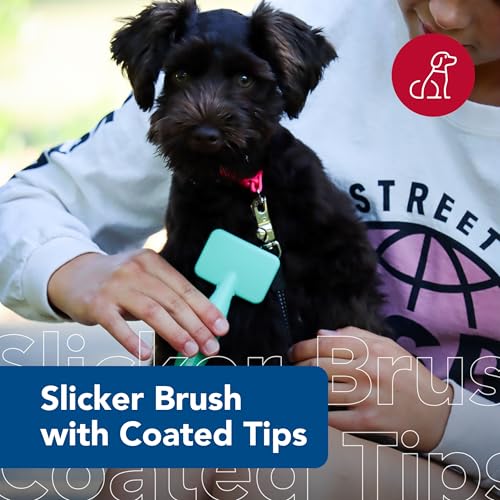 Pet Li'l Pals Dog Slicker Brush with Coated Tips - Dog Grooming Brush for Small Breeds & Puppies - One Size