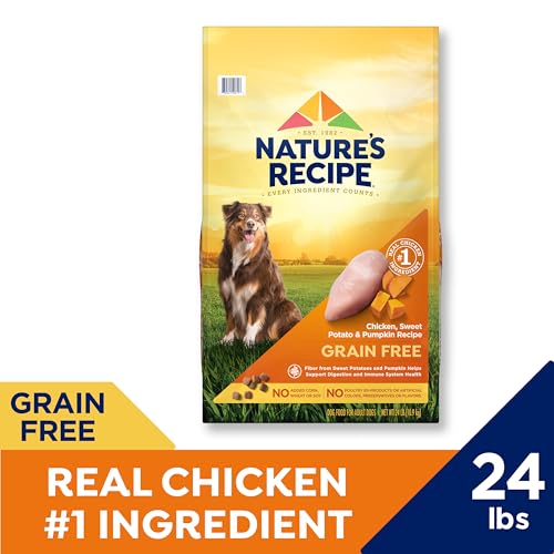 Nature’s Recipe Grain Free Chicken, Sweet Potato &amp; Pumpkin Recipe Dry Dog Food, 24 lb. Bag