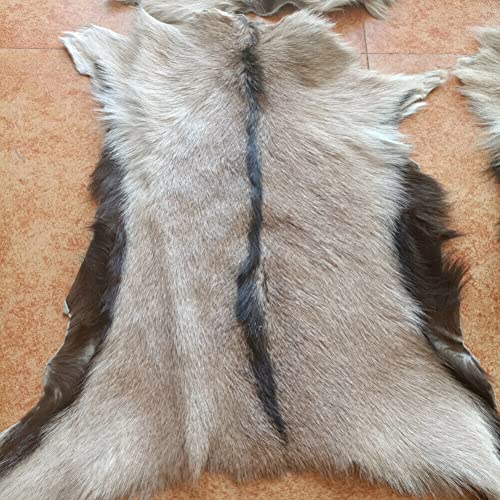 Real Antelope Goat Hide Fur Skin Pelt Fur Sheepskin Leather Fur Skin Clothing Accessories Light Brown 1pcs(Approx 15X18)