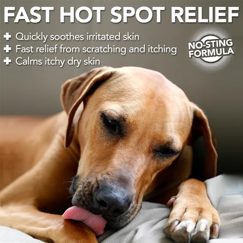 Vet’s Best Dog Hot Spot Itch Relief Spray for Dogs, Dog Hot Spot Spray, Relieves Dry Skin, Rash, Scratching, and Licking, Itchy Skin &amp; Hot Spots, anti-itch spray for dogs, Alcohol-Free, 16 oz
