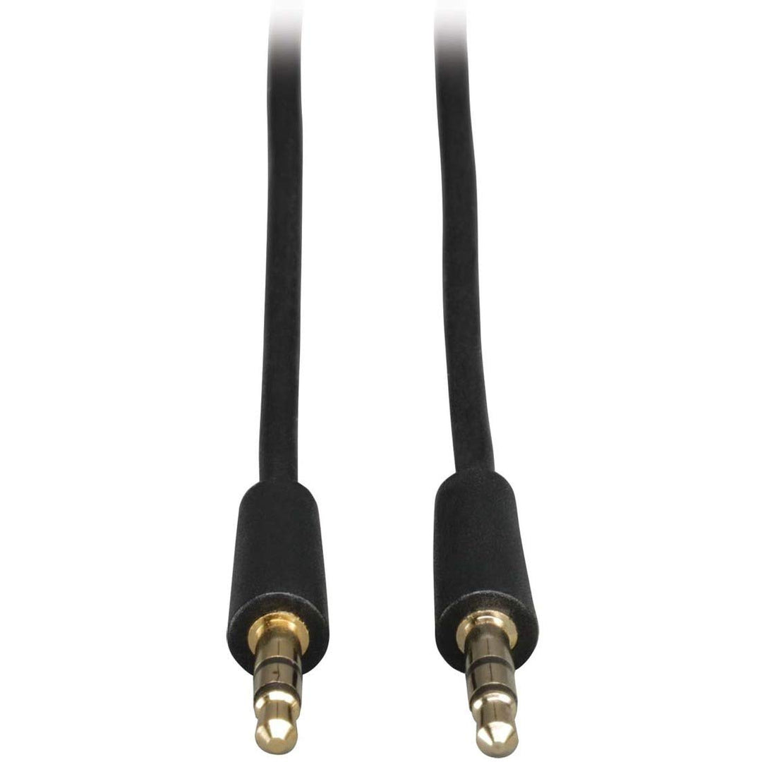 3.5mm Mini Stereo Audio Cable for Microphones, Speakers and Headphones (M/M) 25-ft.(P312-025)