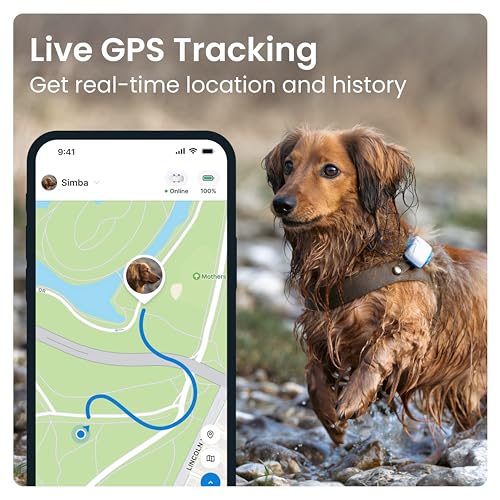 Tractive GPS Dog Tracker | Real-time Pet Location Tracker | Health & Wellness Alerts | Virtual Fence for Dogs | Dog Collar Attachment (White)