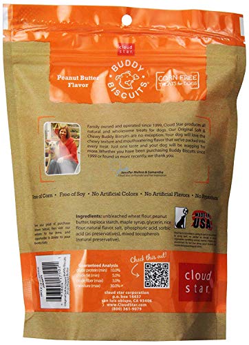 Buddy Biscuit Softies 20 oz Pouch, Soft & Chewy, Natural Peanut Butter Flavor Dog Treats, Oven Baked in the USA