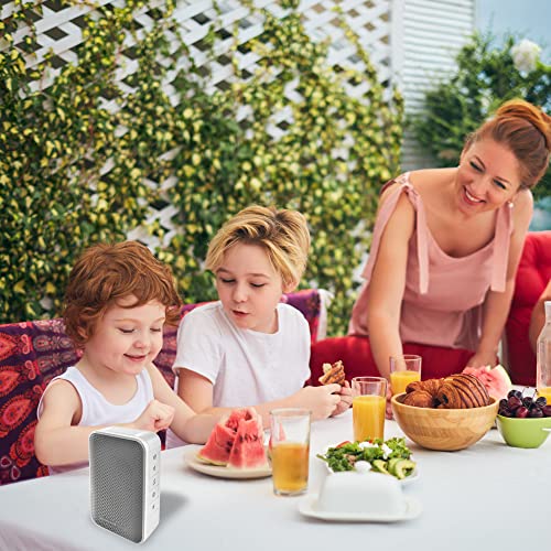 Honeywell Home RDWL313A2000/E Doorbell Portable Wireless Doorbell & Push Button-3 Series, Gray