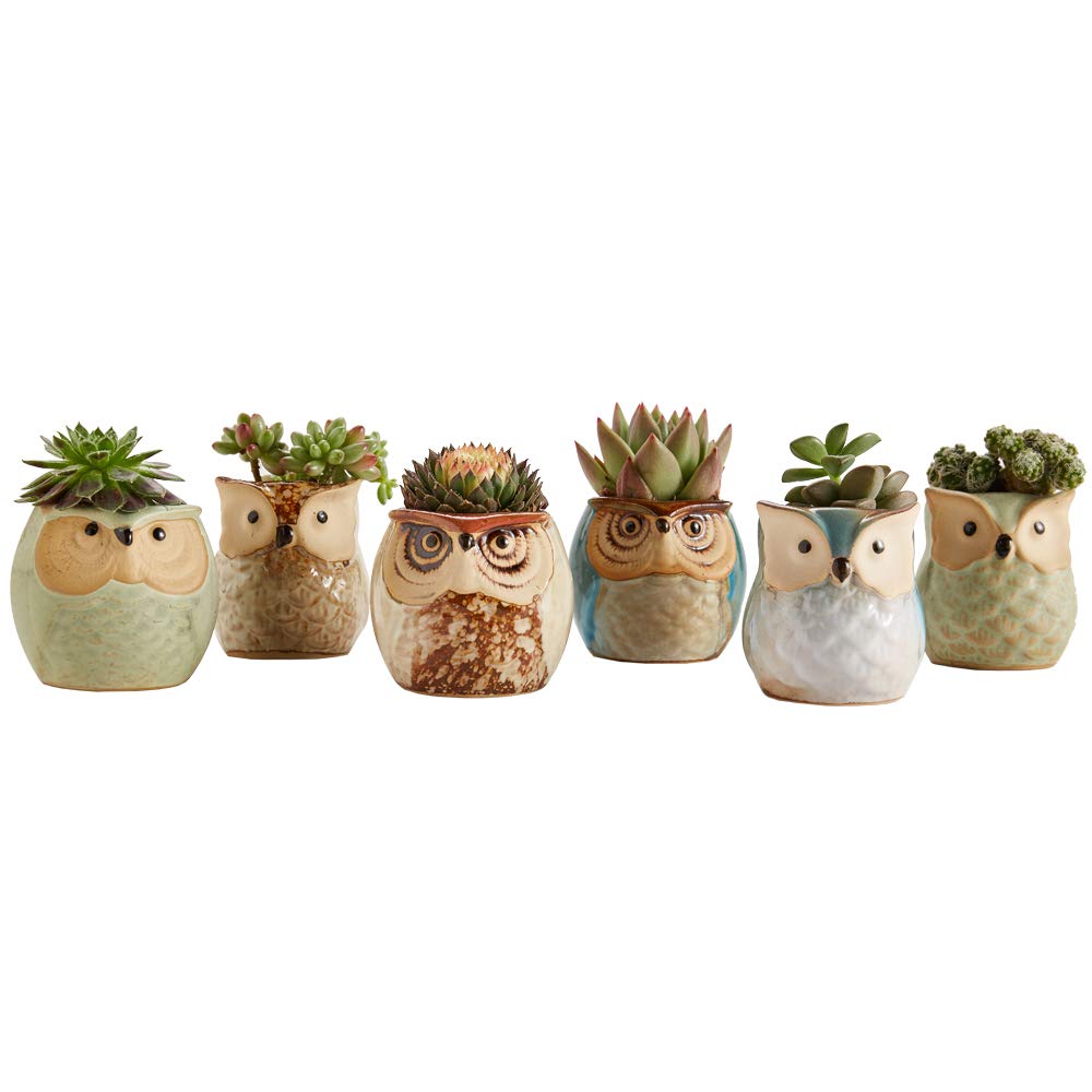 Owl Pot Ceramic Flowing Glaze Base Serial Set Succulent Plant Pot Cactus Plant Pot Flower Pot Container Planter with Drainage Hole Home Office Desk Garden Gift Idea 6pcs 2.5 Inch