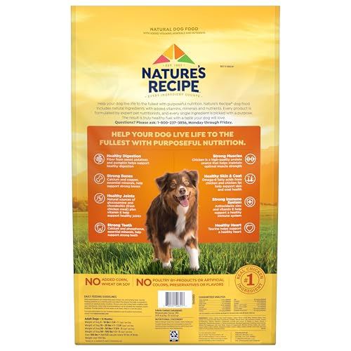 Nature’s Recipe Grain Free Chicken, Sweet Potato & Pumpkin Recipe Dry Dog Food, 24 lb. Bag