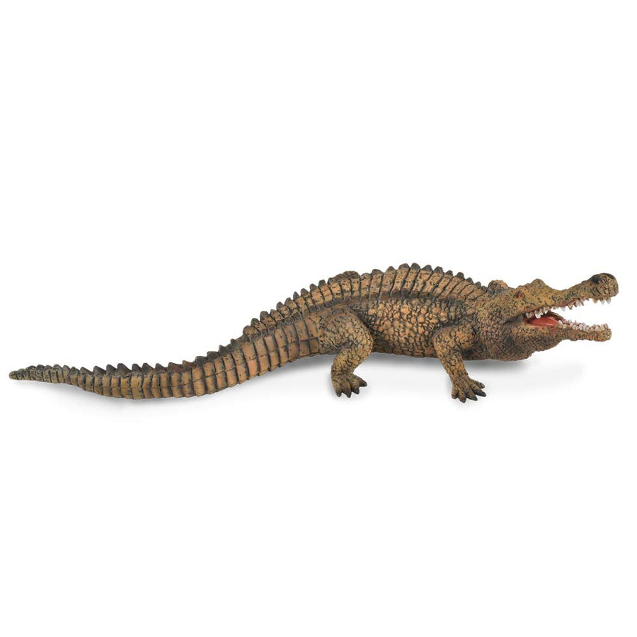 CollectA Prehistoric Life Sarcosuchus Toy Dinosaur Figure - Authentic Hand Painted & Paleontologist Approved Model, 7.3L x 2H