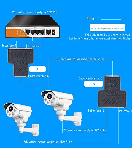RJ45 Network Splitter Adapter - CGTime 1 RJ45 Female to