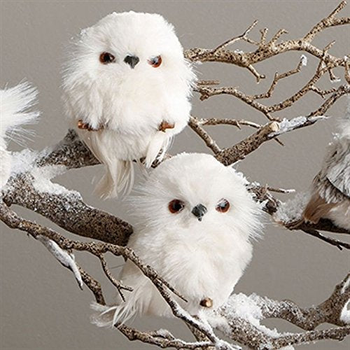3.5 Owl Ornaments - Set of 2 Assorted