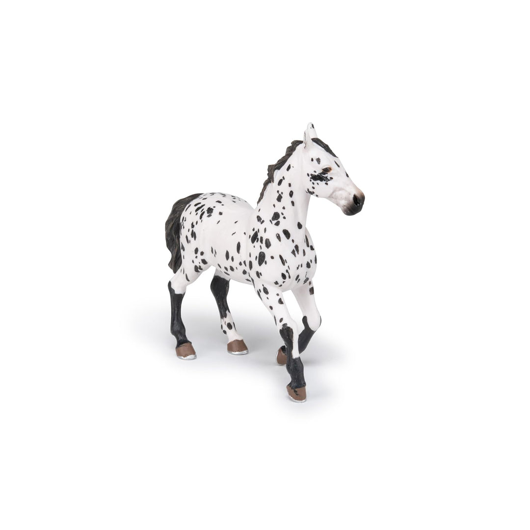 - Hand-Painted - Figurine - Horses,Foals and Ponies - Black Appaloosa Horse Figure-51539 - Collectible - for Children - Suitable for Boys and Girls - from 3 Years Old