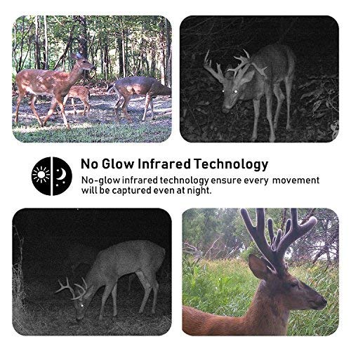 Trail Game Deer Camera No Glow 16MP 1080P Night Vision 110°Hunting Outdoor Cam Security Motion Activated Surveillance System IP66 Waterproof Wildlife Farm Monitoring with 2.4” LCD