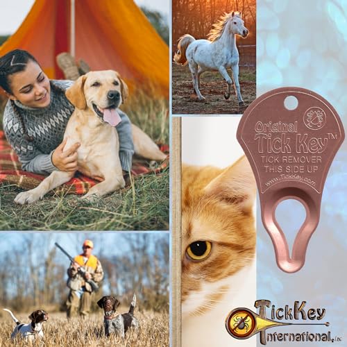 Original Tick Key for Tick Removal 3 Pack (Multi Color)