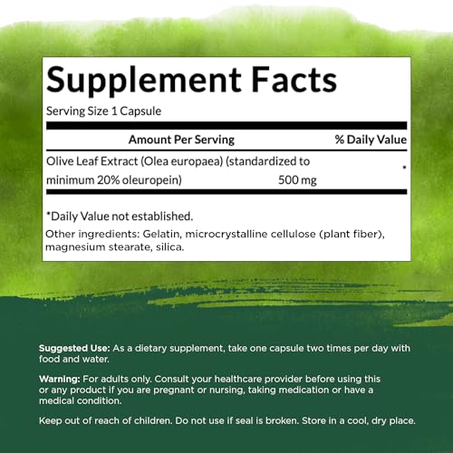 Swanson Olive Leaf Extract Capsules with 20% Oleuropein