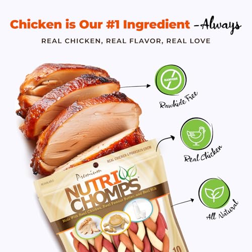 NutriChomps Dog Chews, 6-inch Braids, Easy to Digest, Rawhide-Free Dog Treats, Healthy, 10 Count, Real Chicken, Peanut Butter and Milk flavors