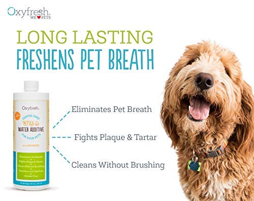 Oxyfresh Premium Pet Dental Care Solution Pet Water Add