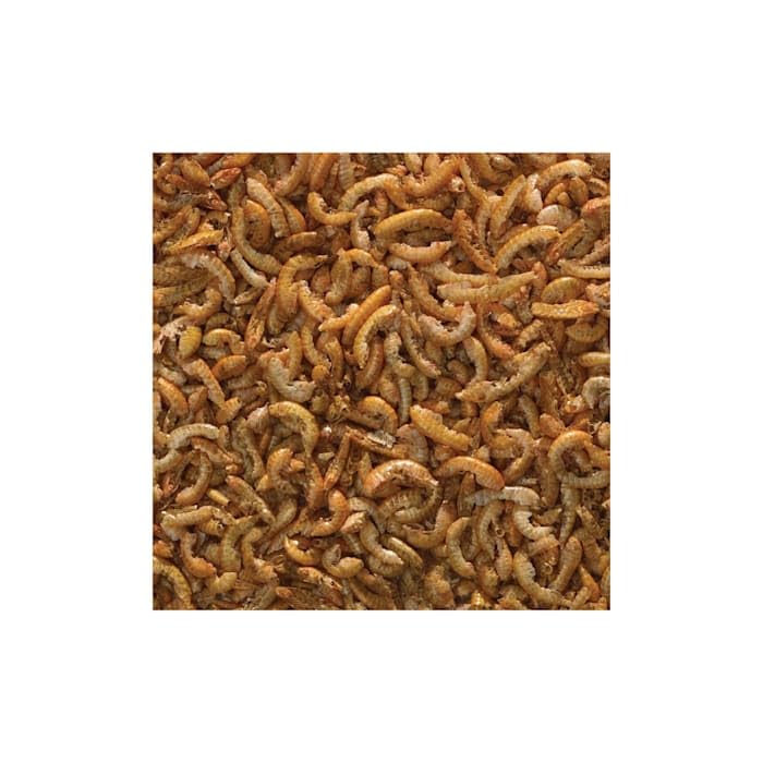 BabyShrimp 0.35 Ounce, Natural Shrimp Treat For Aquarium Fish (033197)
