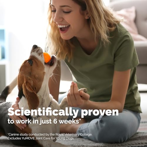 YuMOVE Hip and Joint Supplement for Dogs with Glucosamine, Green Lipped Mussel, Chondroitin, MSM, Omega 3 &amp; Hyaluronic Acid - Joint Support Supplement - for Adult Dogs 300 Tablets