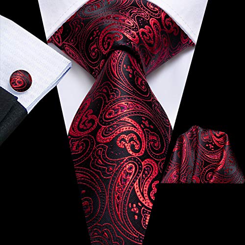 Dubulle Mens Paisely Floral Silk Tie for Men Striped Ne