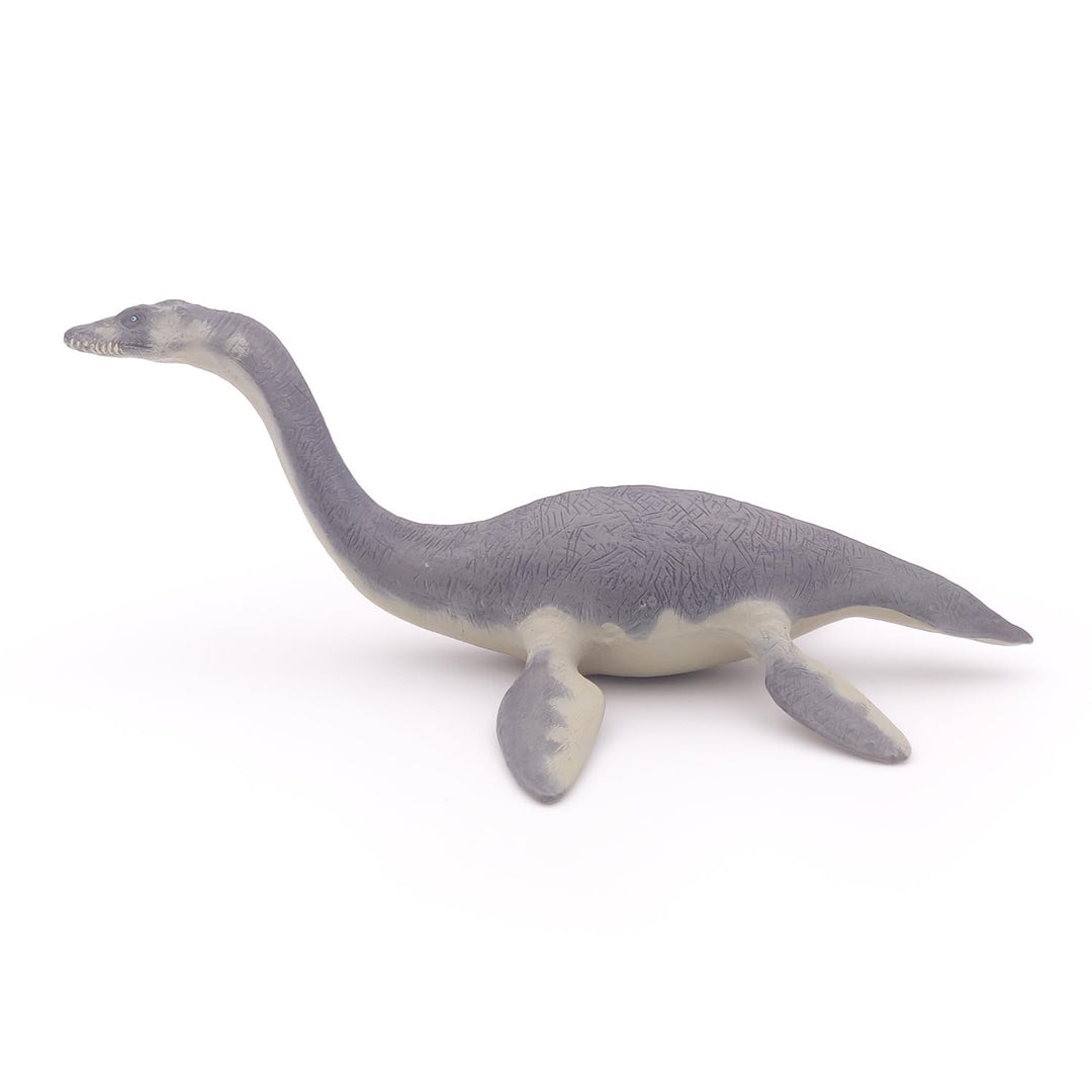 The Dinosaur Figure, Plesiosaurus, Multicolor