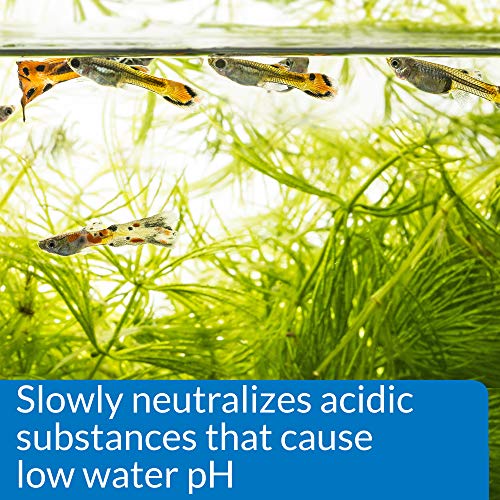 API pH UP Freshwater Aquarium Water pH Raising Solution for fish,4-Ounce Bottle, Brown