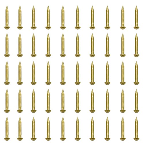 100 PCS 0.08&#39;&#39; x 0.79&#39;&#39; Round Head Brass Nails for Hinges Boxes Craft Projects(DIY)