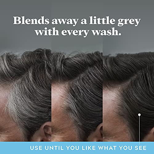 Just For Men Control GX Grey Reducing Anti-Dandruff Shampoo, Gradual Hair Color, Controls Dandruff with Zinc Treatment, 4 Fl Oz - Pack of 1 (Packaging May Vary)